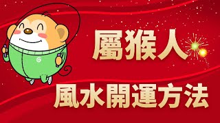 屬猴的風水招財方法佈局 [upl. by Dick]