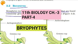 Class 11 BiologyCh3 Part4BryophytesStudy with Farru [upl. by Robyn817]