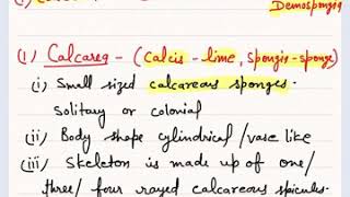 Porifera  General Characters and classification [upl. by Ericha]