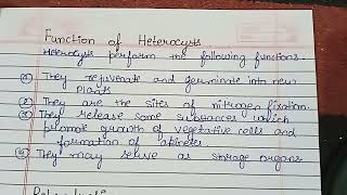 What is Heterocyst  Heterocysts StructureFunctionDevelopment in detail [upl. by Nellahs]