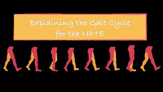 Explaining the Gait Cycle for the NPTE [upl. by Dnomder]