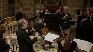 Johann Georg Pisendel 16871755 Violin Concerto in D major JunP I7 [upl. by Emlyn]