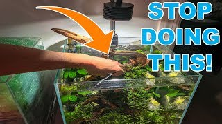 BIGGEST TIP FOR NEW AQUARIUM PLANTS [upl. by Isiahi]