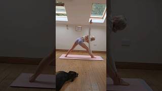 Join me in my latest follow along yoga class for loosening up your hips and hamstrings😁✨️🌸 [upl. by Fortunio649]