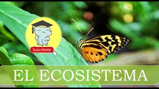 EL ECOSISTEMA [upl. by Soneson]