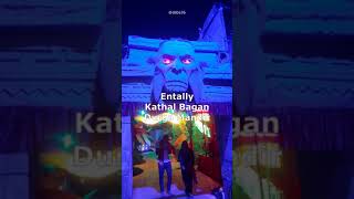 Entally durga puja shorts 2024 dsbe36 tourism trending shortsvideo yt shorts shortvideo [upl. by Theadora200]