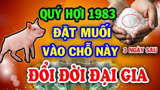 Hé Lộ Chấn Động Quý Hợi 1983 Rắc Muối Vào Đây Đúng 3 Ngày Sau ĐỔI ĐỜI Giàu To Tiền Nhét Nứt Két [upl. by Ahsikyw633]