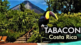 Tabacon Thermal Resort amp Spa Costa Rica [upl. by Kuehn]