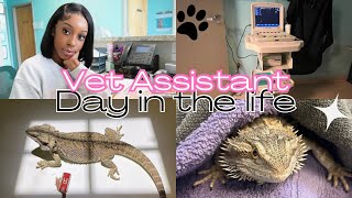 Day in the life  Veterinary Assistant ✨🐾 [upl. by Ynotna752]