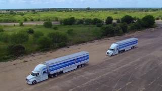 Commercial Truck Platooning Level 2 Automation [upl. by Asiuol]