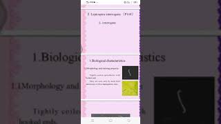 Leptospira Microbiology [upl. by Deckert]