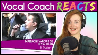 Vocal Coach reacts to Mariachi Vargas de Tecalitlán  El Pastor Live [upl. by Yanad]