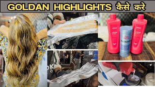 Loreal Golden Blonde Highlights क़ैसे करे  Full Practical  Full Process Step by Step In Hindi [upl. by Airdnola676]