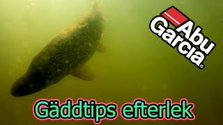 Tobias Fränstams tips GÄDDA EFTERLEK [upl. by Louella208]