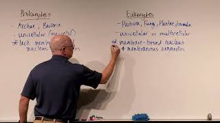 Prokaryotic Cells  Introduction and Structure  Post 16 Biology A Level PreU IB AP Bio [upl. by Eserehc]