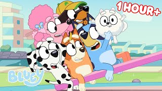 Bluey Seasons 1 and 2 FULL EPISODES 💙 Baby Race Movies Seesaw and more  Bluey [upl. by Alveta967]