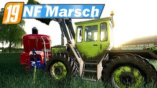 LS19 NF Marsch 59  Mischfutter auffüllen vor der Nacht  Farming Simulator 19 [upl. by Silvia]