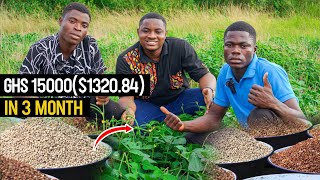 Beans Farming How To Grow amp Cultivate Beans  Complete Guide beans bean soyabean [upl. by Aicenert692]