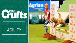 YKC Agility Dog of the Year  ​Crufts 2020 [upl. by Salim]