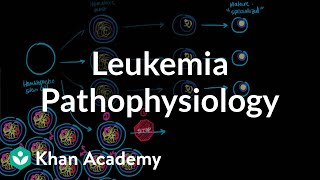 Leukemia pathophysiology  Hematologic System Diseases  NCLEXRN  Khan Academy [upl. by Hsiri802]