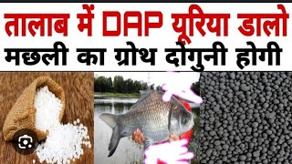 how to fertilize your fish pond for fish farming  natural fish feed production तालाब में खाद उपयोग [upl. by Odraccir739]