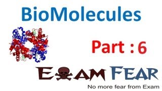 Chemistry Biomolecules part 6 Glucose Structure open chain Fisher CBSE class 12 XII [upl. by Corabella]