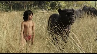 Le Livre de la jungle  Film daventure classique  Français [upl. by Magel]