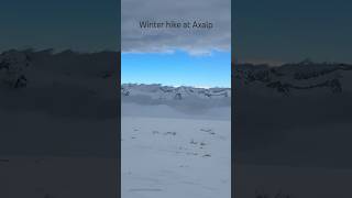 Winter hike above brienzamsee brienz switzerland brienzersee nature shortsvideo [upl. by Kabab]