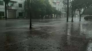 Torrential Rainstorm amp Very Huge Thunder With Howling Wind Sounds  Nature Sounds For Sleep Relax [upl. by Yetak831]