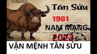 Vận mệnh nam mạng tuổi Tân sửu  1961 năm 2023 [upl. by Hanafee]