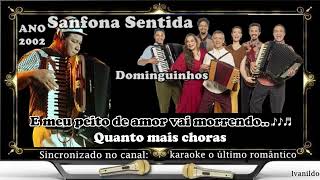 Sanfona Sentida  Dominguinhos  karaoke cover [upl. by Odnomyar]