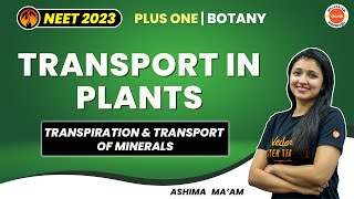 Transport in Plants Class 11 Biology  Transpiration amp Transportation of Minerals  Malayalam  NEET [upl. by Piks]