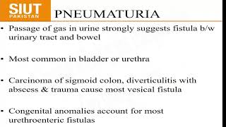 Urology History and Clinical Examination [upl. by Portugal35]