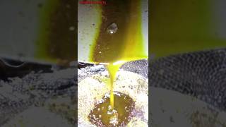 See how mustard oil is extracted by grinding mustard in a machine [upl. by Troxell598]