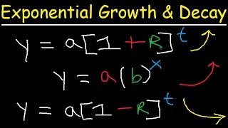 Exponential Growth and Decay Word Problems amp Functions  Algebra amp Precalculus [upl. by Analise]