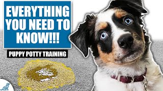 Your COMPLETE Guide To Puppy Potty Training [upl. by Yoj]