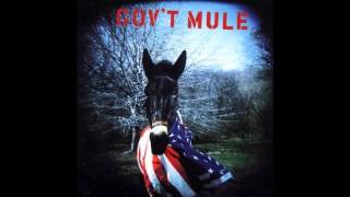 Govt Mule  Grinnin In Your Face  Mother Earth [upl. by Lian]