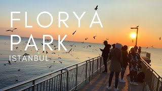 Florya Park Istanbul Флоря Парк Стамбул فلوريا بارك اسطنبول [upl. by Heddi]