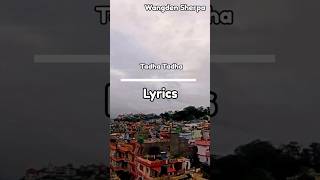 Wangden Sherpa  Tadha Tadha ft Prajina shorts lyricszone lyrics song musiclover [upl. by Virginie467]