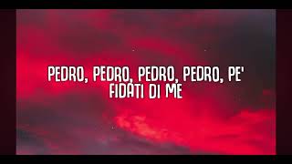 Pedro Pedro Song lyrics oficial version [upl. by Naesar]