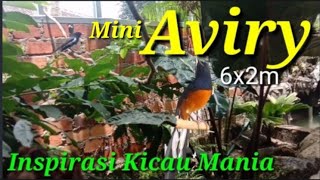 Aviary Minimalis pelepas Penatpengilang rasa Stres😁👌🏻gak ada obat pokok😁 [upl. by Schilit]