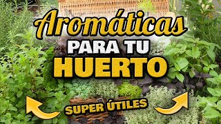 5 Plantas AROMÁTICAS ESENCIALES en Casa y HUERTO 🌸 MEJORA tu COSECHA  Solución NATURAL para PLAGAS [upl. by Kelsey16]