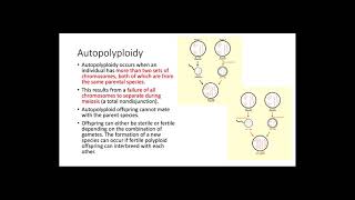 Polyploidy [upl. by Lavinie]