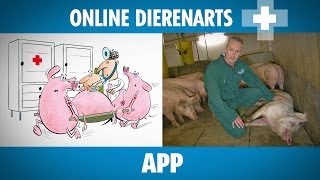 Online Dierenarts APP [upl. by Subir]