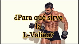 ¿Para qué sirve la L Valina [upl. by Idnahc]