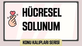 Anlatırken En Keyif Aldığım Konu  HÜCRESEL SOLUNUM [upl. by Akinajnat]