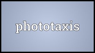 Phototaxis Meaning [upl. by Wilmott]