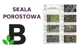 Skala porostowa EKOLOGIA matura  ekologia  KOREPETYCJE z BIOLOGII  124 [upl. by Varin]