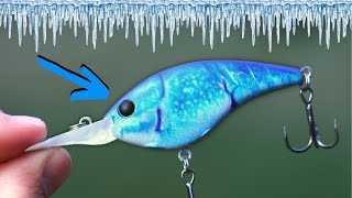 Best WINTER Lure Of All Time [upl. by Nalahs]