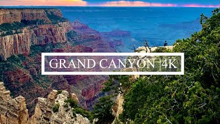 4K Discovering Arizonas Grand Canyon 2024 Adventure [upl. by Enerak173]